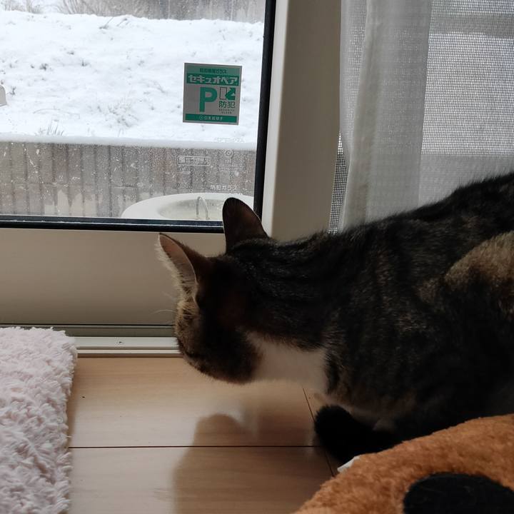 Bdf3e48c 878b 43b3 bceb bcc0b96f4c26 1679116655082