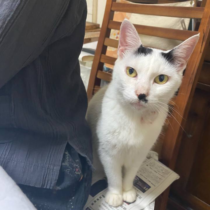 Bdf3f4c8 79e4 40d2 95b5 2e7b7736b7e6 1600346147671