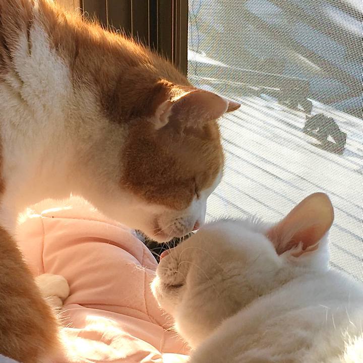 Bdf400e6 03c1 4158 b333 ce050078e630 1773207554341