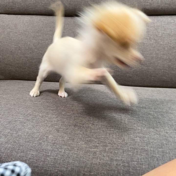 Bdf40b21 0303 41d0 a24f f60ed9f3265f 1591747291536