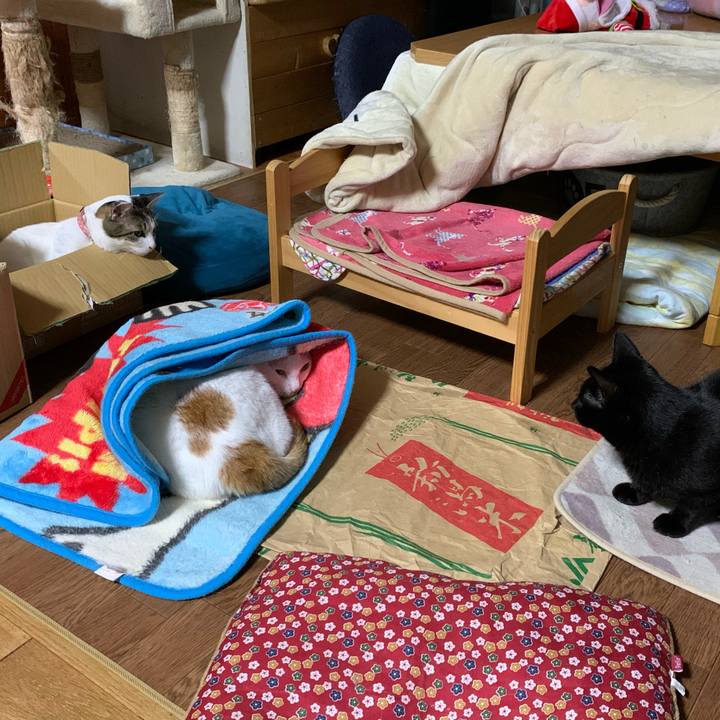 Bdf40d24 ec9f 4f16 accc c94a345ab61d 1605962628539