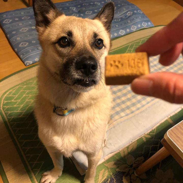 Bdf430b7 f7f2 45eb 9c25 c1da5b894080 1595416994102