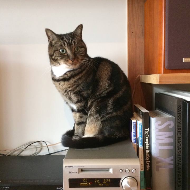 Bdf448f4 f241 42d9 a360 56583fef7782 1512778133060