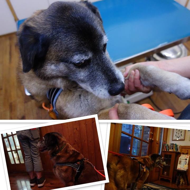 Bdf477d5 8d28 4218 83d0 6fb7b7c62f78 1524309312548