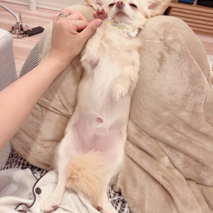 Bdf49c58 2b88 42e7 989c a8fcc137140f 1720016904291