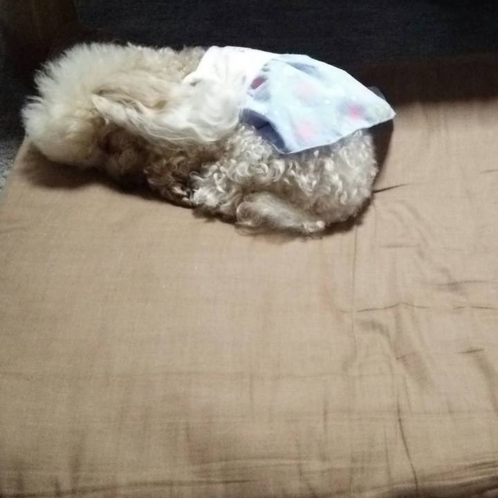 Bdf49ddf 3aec 41c4 9381 d363f6c19e50 1538485646451