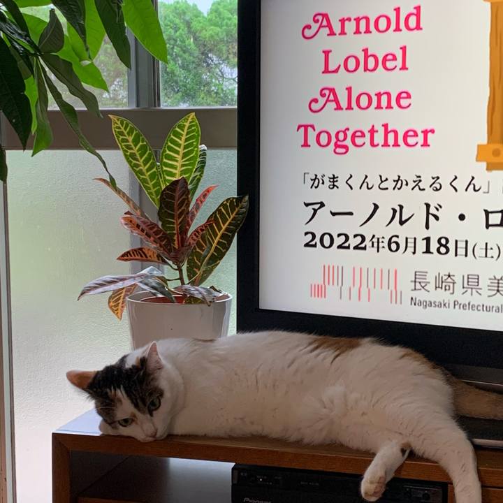 Bdf49df7 7d68 444d a408 0b72f9f2b407 1662428971153