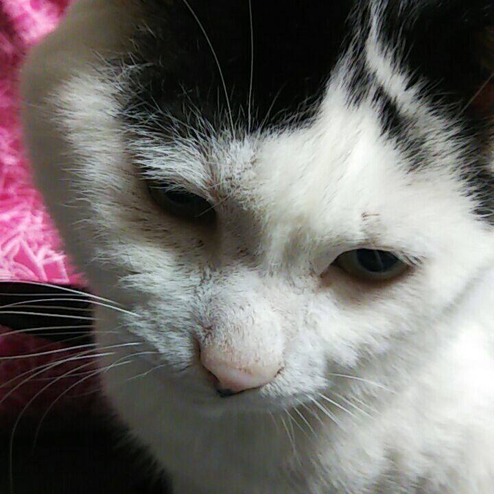 Bdf4bb72 1027 4210 a0d6 1ae945006cc7 1557142154521