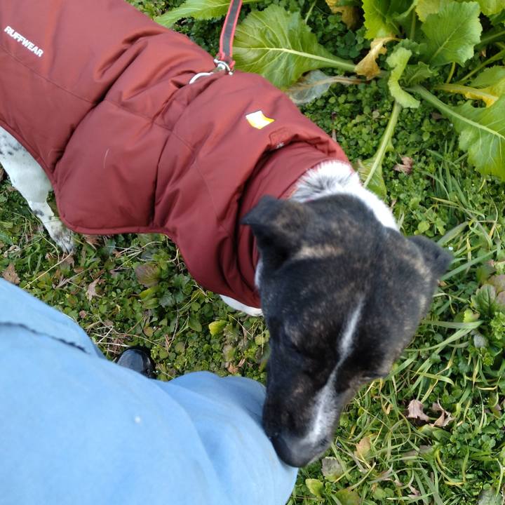 Bdf4c7a3 9b0e 415e ad09 8d61f25af12a 1670909998926