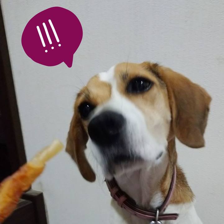 Bdf4d7f2 041f 41e3 9bbe e103162e19db 1601366252549