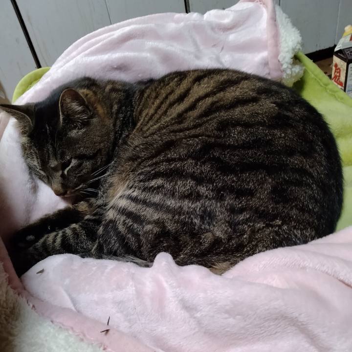 Bdf4e414 29ea 4ca8 89e8 98e8fee82e3b 1676896943878