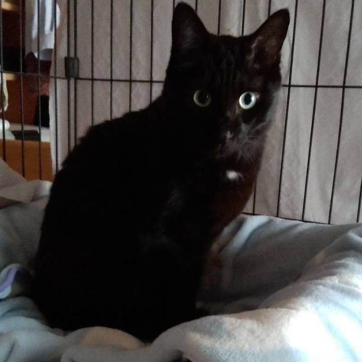 Bdf4f0a3 aba3 4e5b 8df0 204f6f063e3d 1698837568251