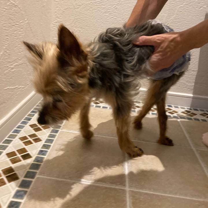 Bdf4fc36 ccc7 41e9 a1c2 72b981d9579f 1690107114938