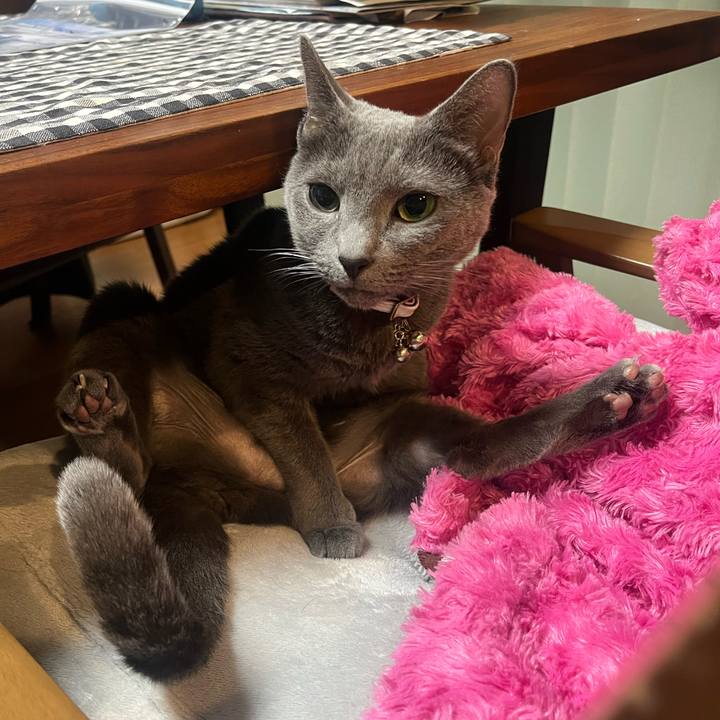 Bdf51d6c 6240 4b4a aee2 71638d94fc08 1742634636187