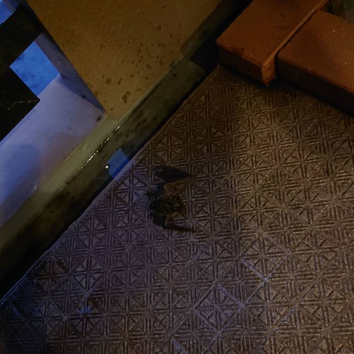 Bdf528b5 8526 40c3 b471 cd6f37fb7266 1597917665462