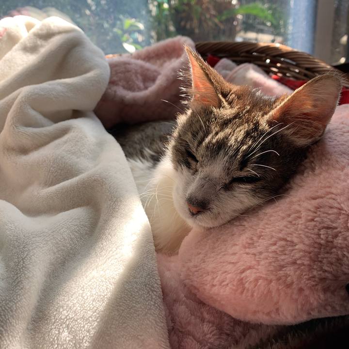 Bdf5404e 0e23 44d5 81f8 e953f4c9a8ca 1635717639853