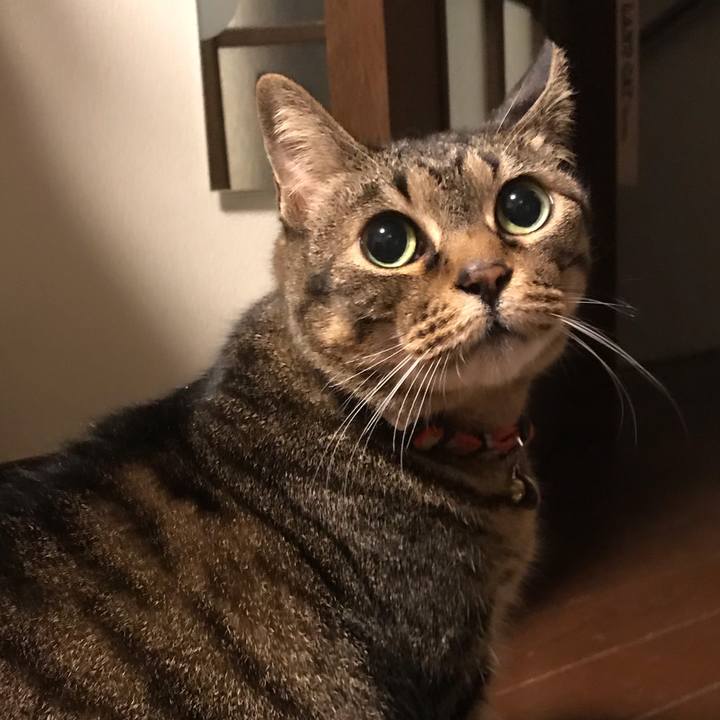 Bdf5444b ee40 49c2 9851 095a460b3343 1618491107294