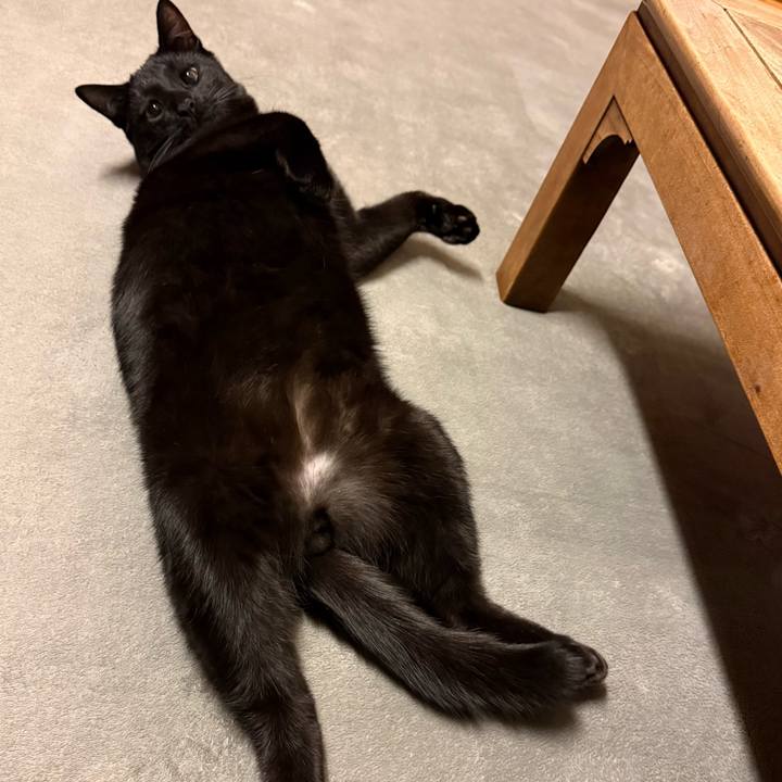 Bdf58885 1d6d 4842 bef4 15bf4843cae6 1768390089279