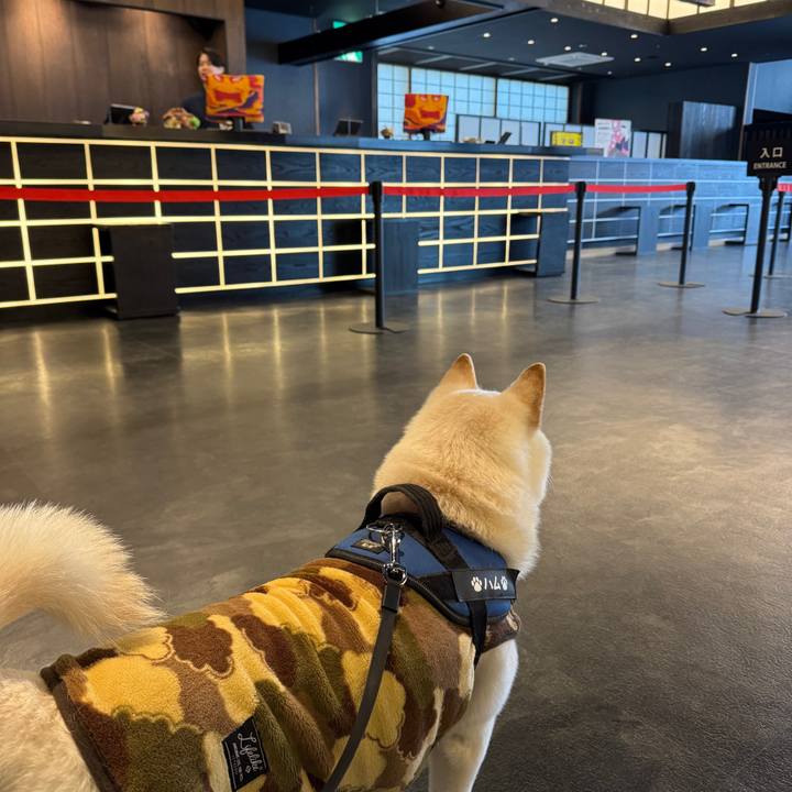 Bdf5a4ce ec24 4da2 89c8 1ba2fa331c06 1745624570085