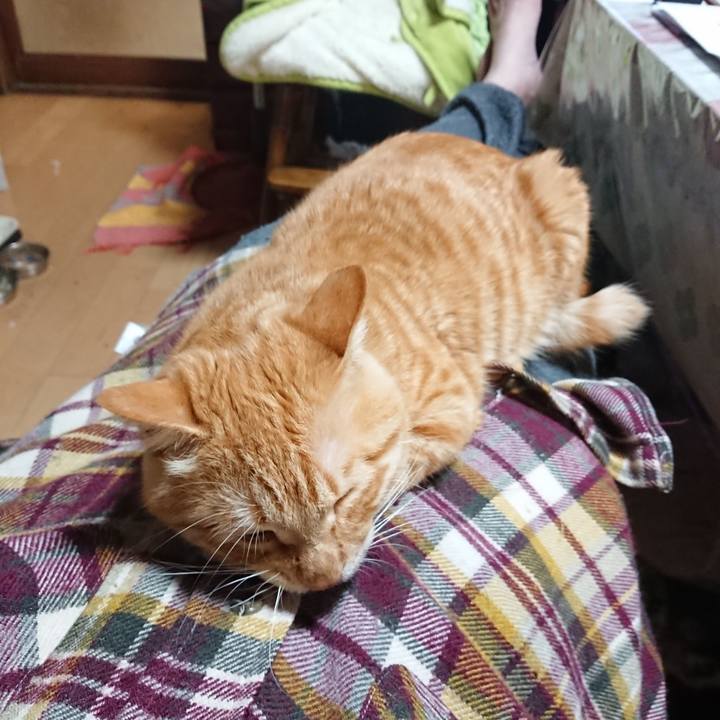 Bdf5ba73 57c8 4644 903c c3b8c704996a 1640690163829