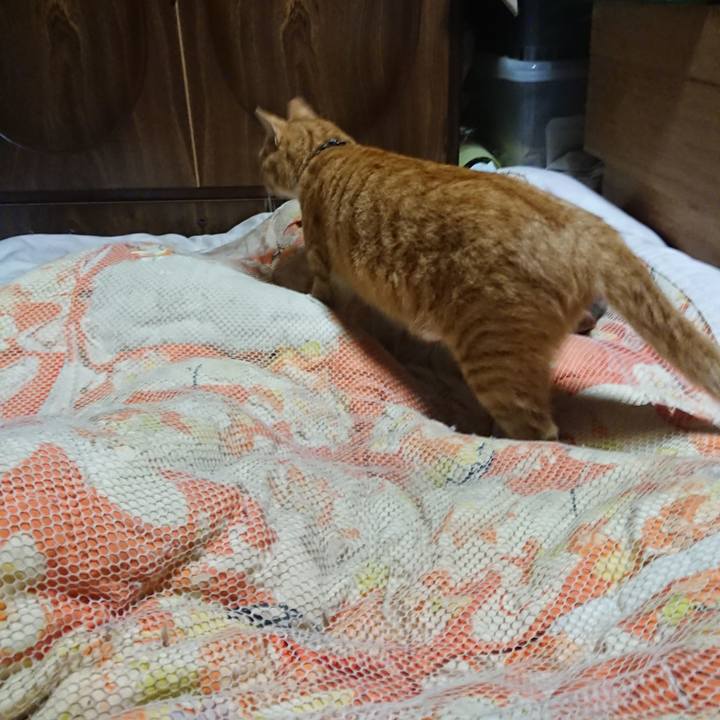 Bdf5f1a4 6d9f 4c68 993f 8b9d1d93f39a 1570449888315