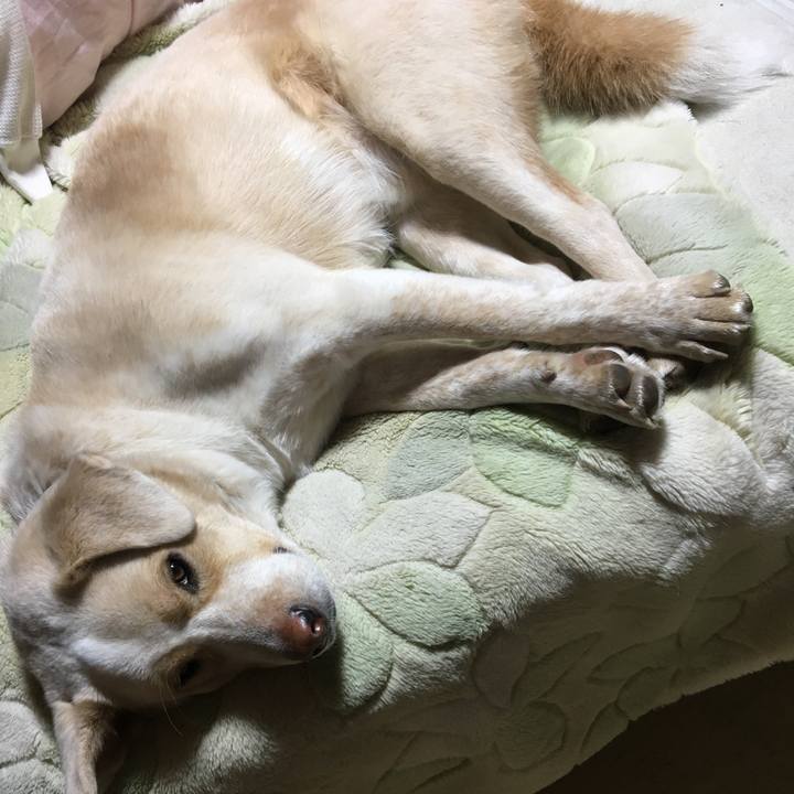 Bdf5fdcc ebe1 46cf ab6e 33134b13679b 1516450191259