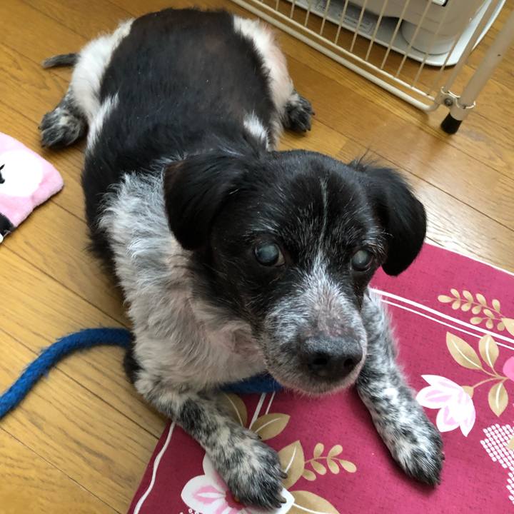 Bdf619ff de7c 4ea9 af8d 003f26adc503 1553480220184