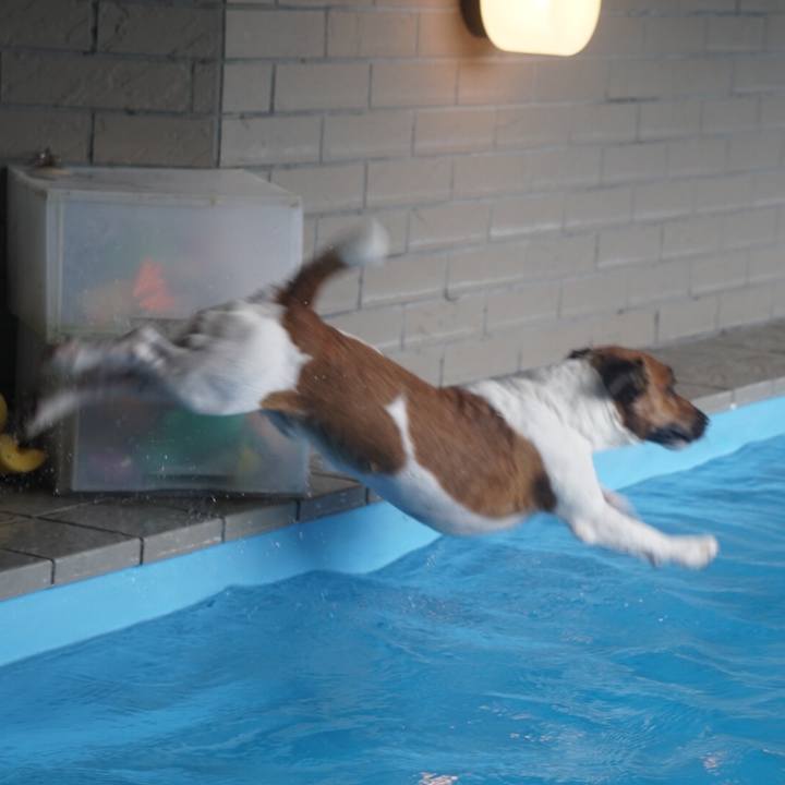 Bdf63fdf 9bef 49a2 be4b fd83b3b1d8de 1525905831749