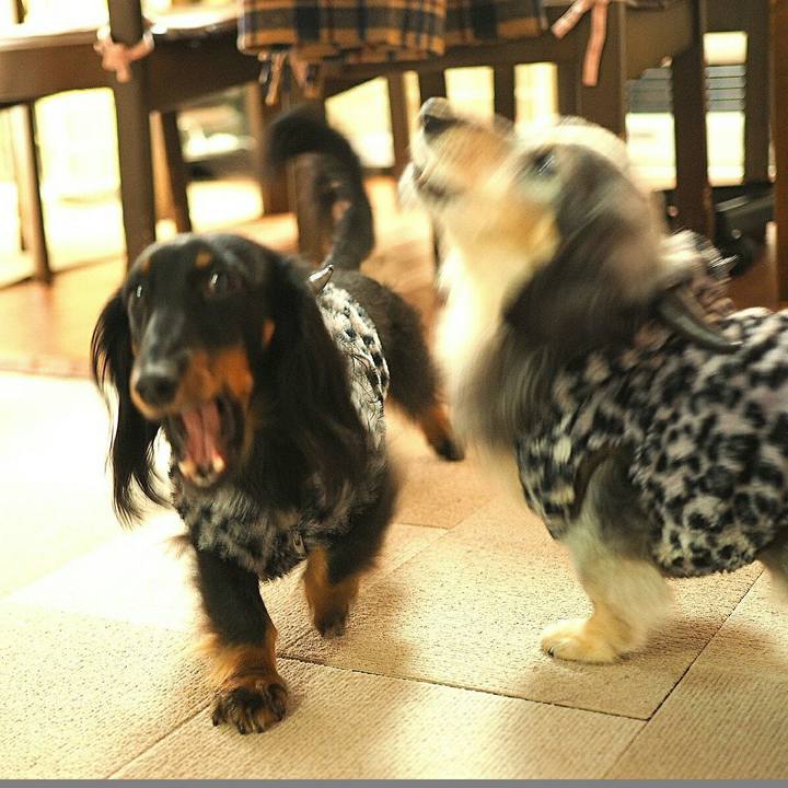 Bdf65344 4ff5 4547 9f2e b7bf906fa179 1557209010629