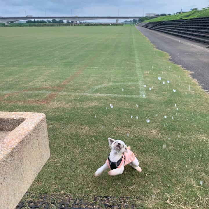 Bdf6a91a 9921 47e2 a1ff d8036b74c395 1596541222596