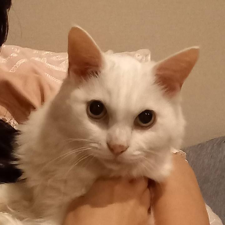 Bdf6dbad 0e2e 42d1 9734 646be20183b8 1633603565109