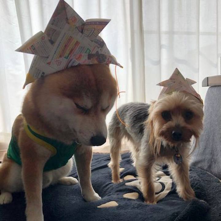 Bdf705e8 eea2 40a1 ad7e 9726705caabe 1557052249383