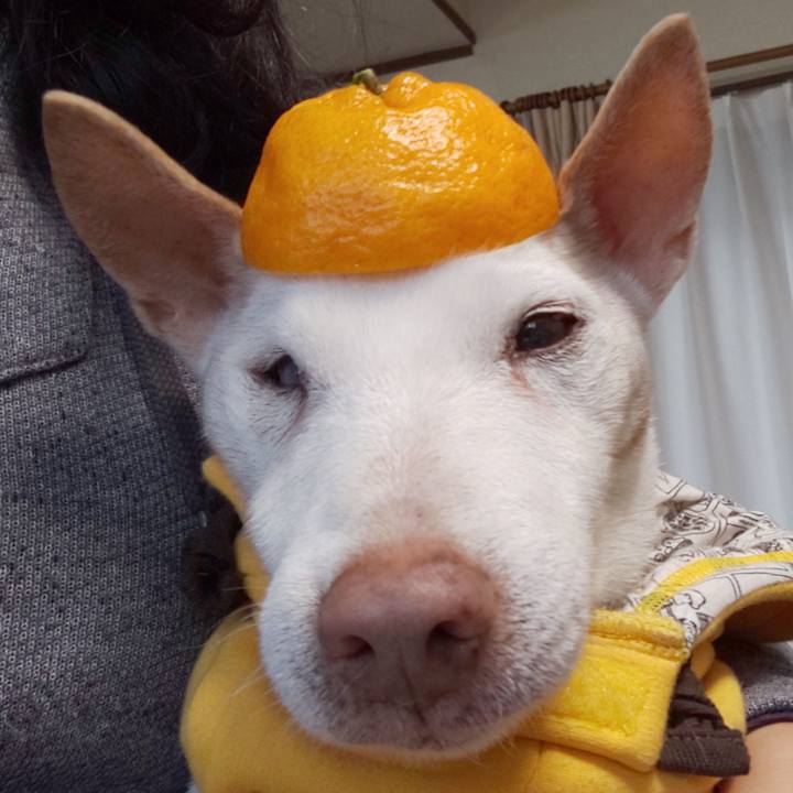 Bdf70eb5 c64e 460a 912a 15db4d8b6e71 1548203828704