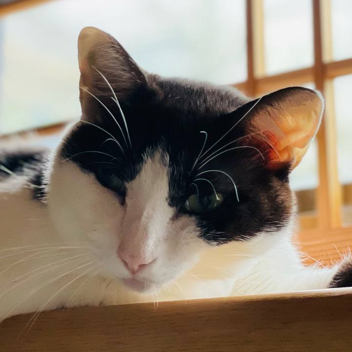 Bdf71bb4 c466 4284 b45b e03770659f39 1634348518501