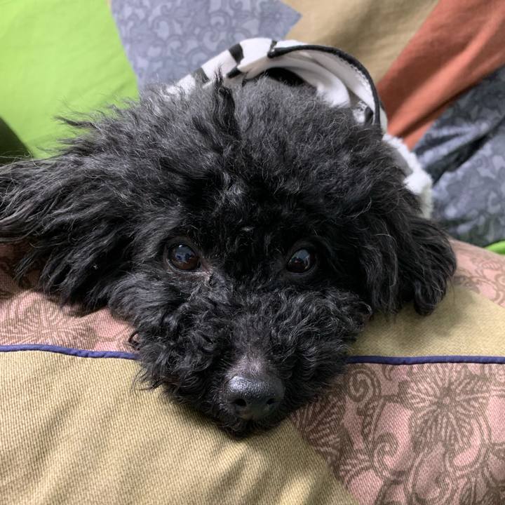 Bdf72c64 820a 4297 9fd8 350345c306c0 1551354295359