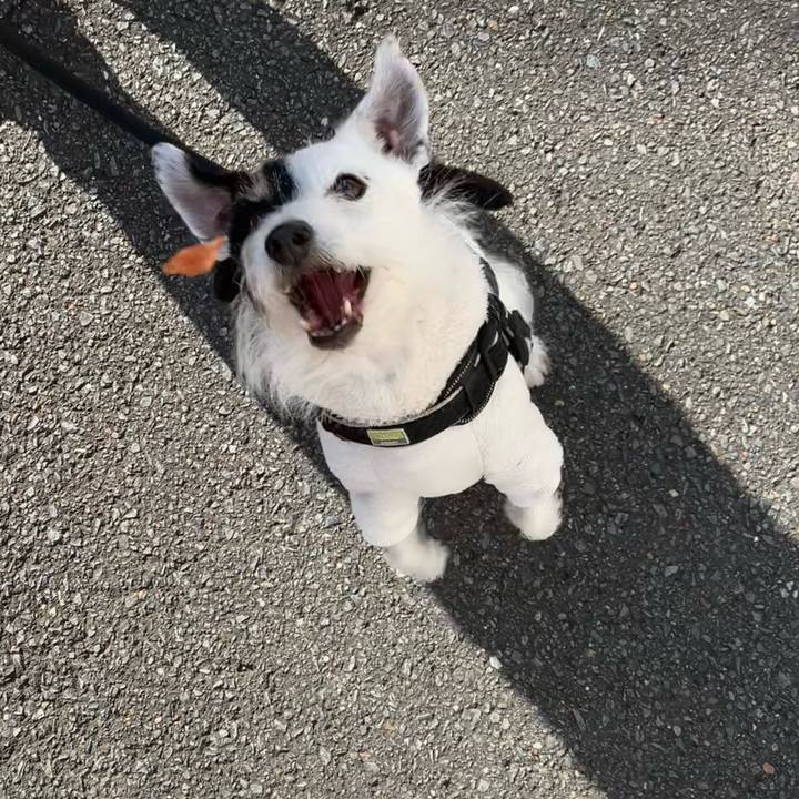 Bdf766d8 a8d0 4982 8514 c36a160df373 1733878012974