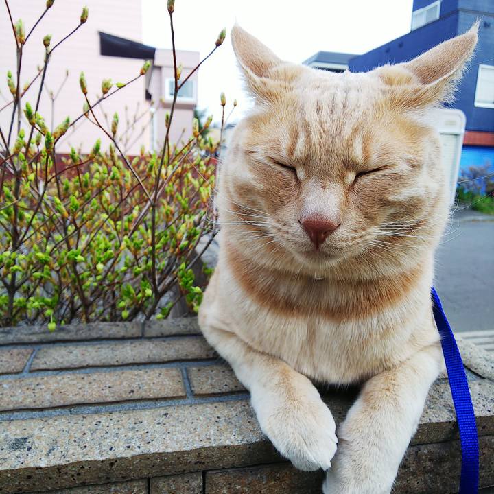 Bdf7734b 8deb 4e46 803f c54545176483 1588495024381