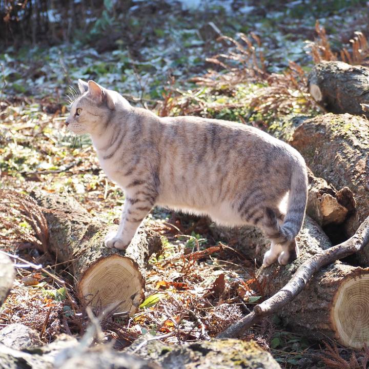 Bdf7b16d 4254 4301 aa32 a205c19a46fa 1765976049051