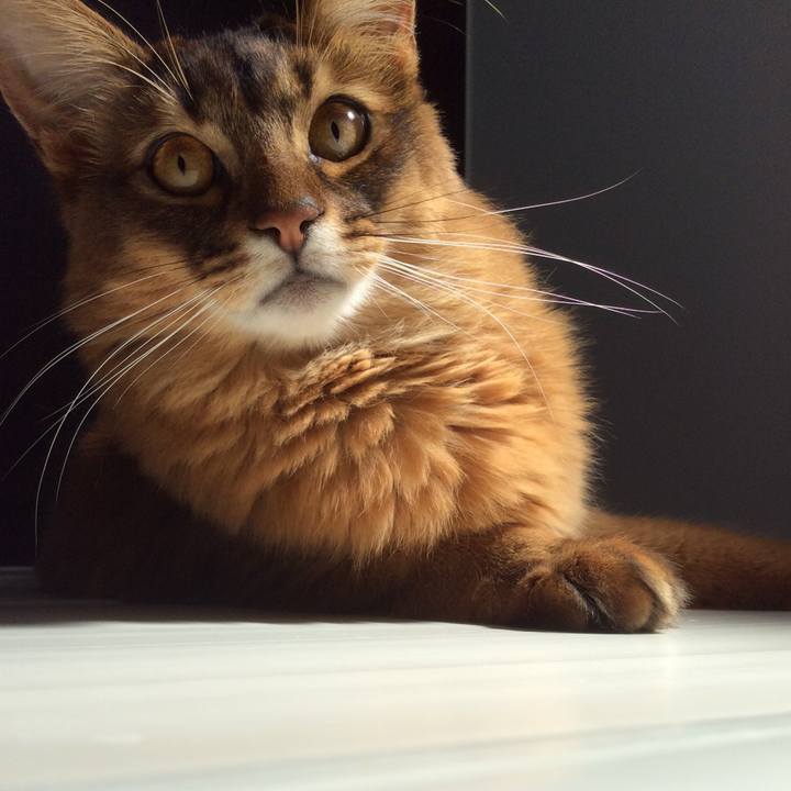 Bdf7c88d e4ba 40aa bb30 d610b90ec077 1616745992732