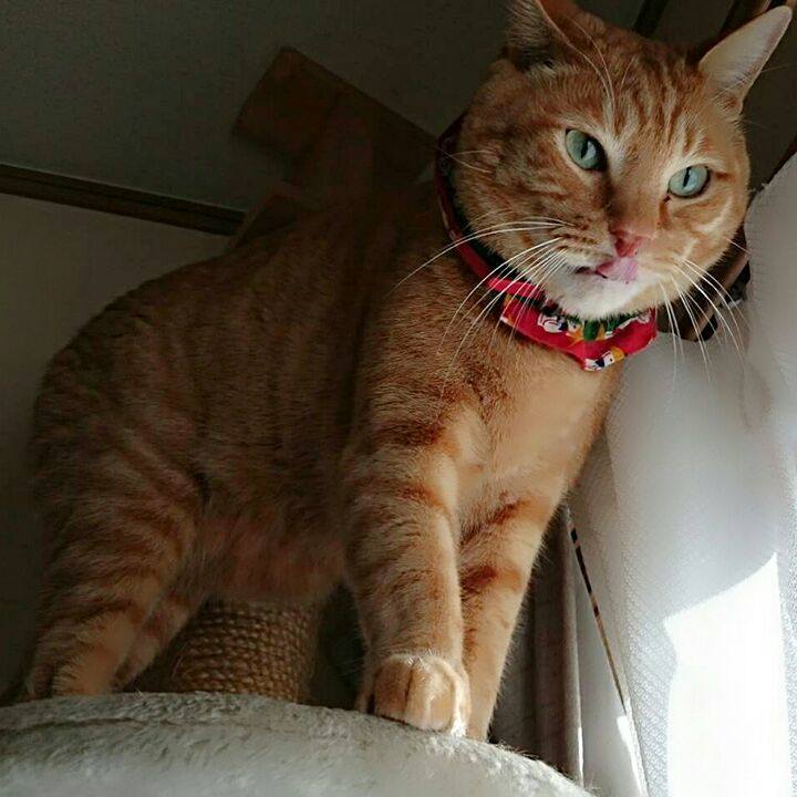 Bdf7e1e1 2379 4862 b9ce 39c3bdfaaaaa 1516404425462