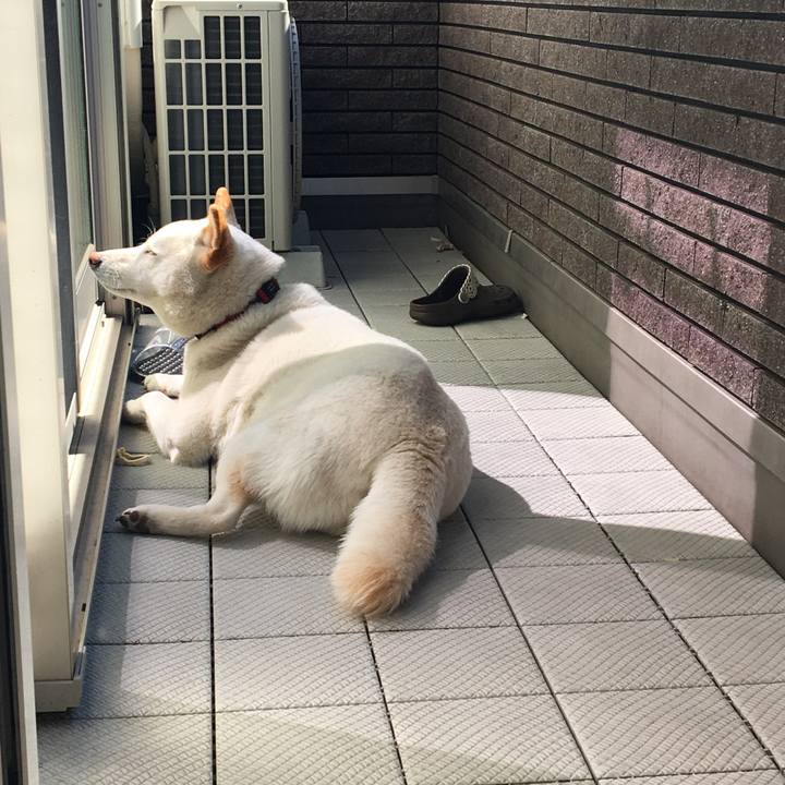 Bdf82374 d18a 4e4d a435 3e1d2ee475fe 1555375918402