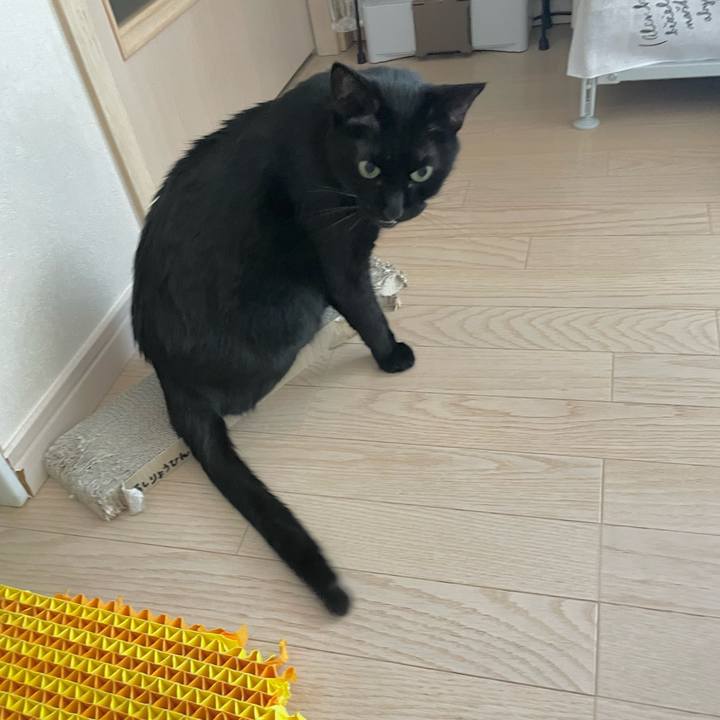 Bdf85765 03fa 4ad0 b749 ff022d9574c4 1676632769192