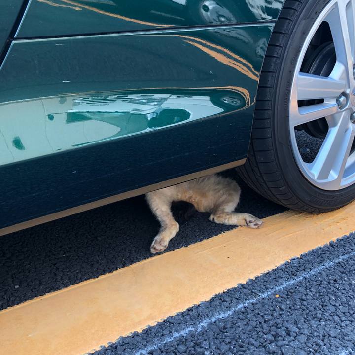 Bdf8c337 7ade 44b0 a30d ebd23c736ad3 1568319197699