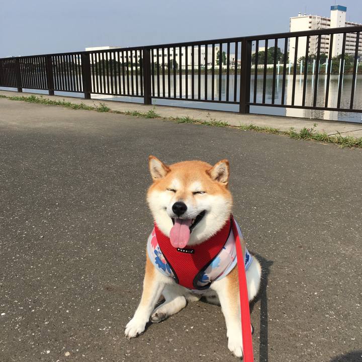 Bdf8e69e f294 4fd9 9cf7 edfb246b8592 1596938142909