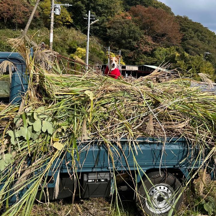 Bdf8e9c6 8f3f 42d6 aa39 14d86b2d4819 1763523629774