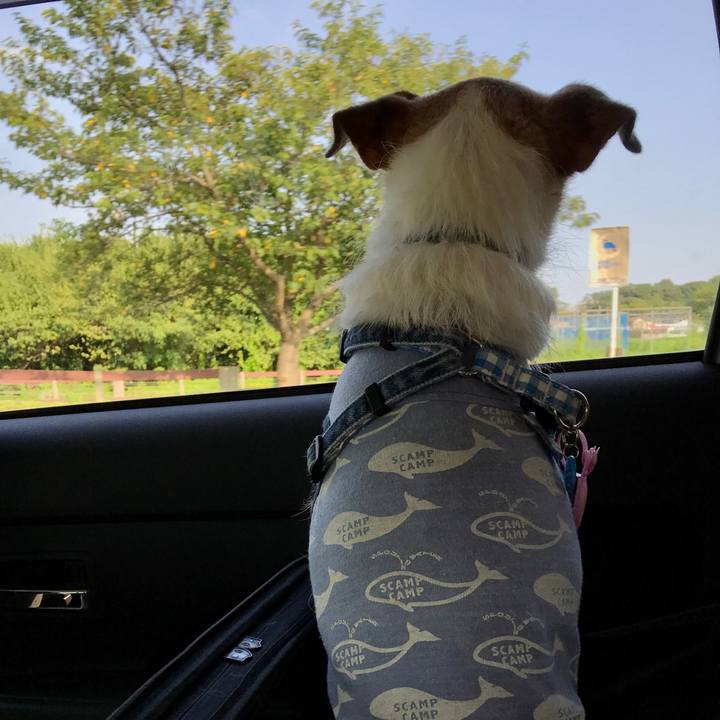 Bdf938df 3801 4b4f 8736 7986920adc9a 1630232132464