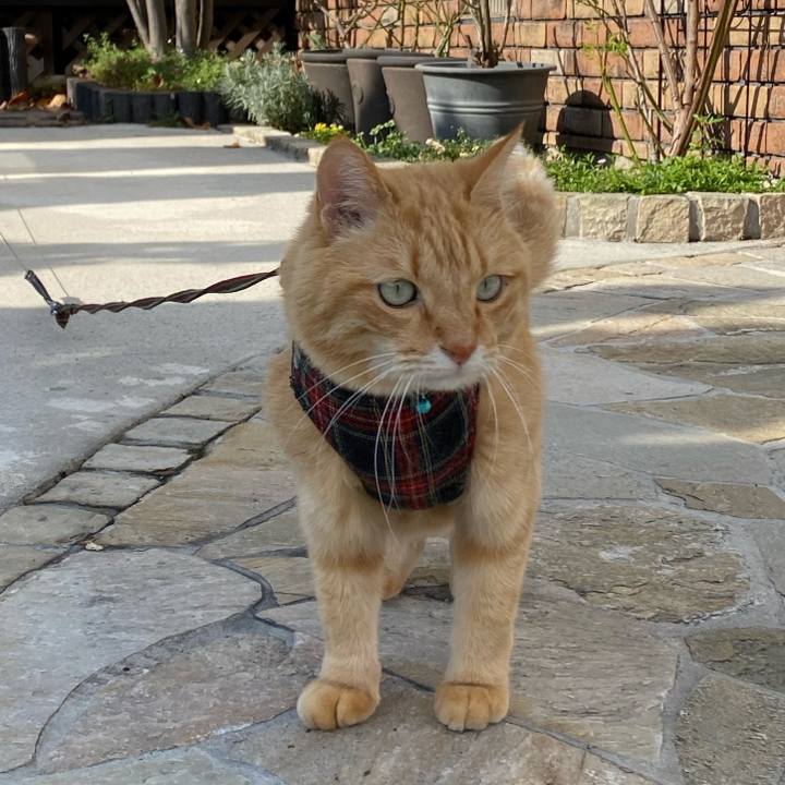 Bdf9468c 8ca9 4dca b388 e2afea3bebe8 1605500264356