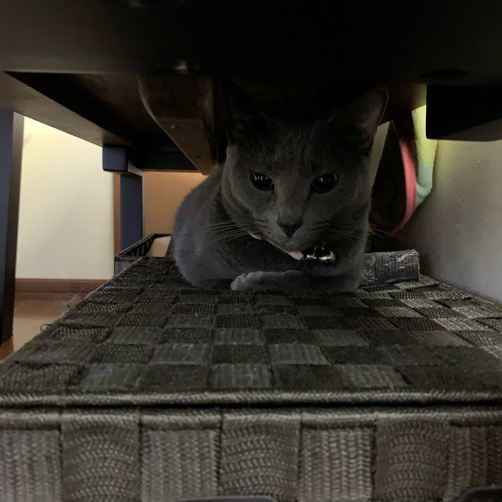 Bdf952aa 73b0 41d7 8761 d2850c67e87a 1574897391369