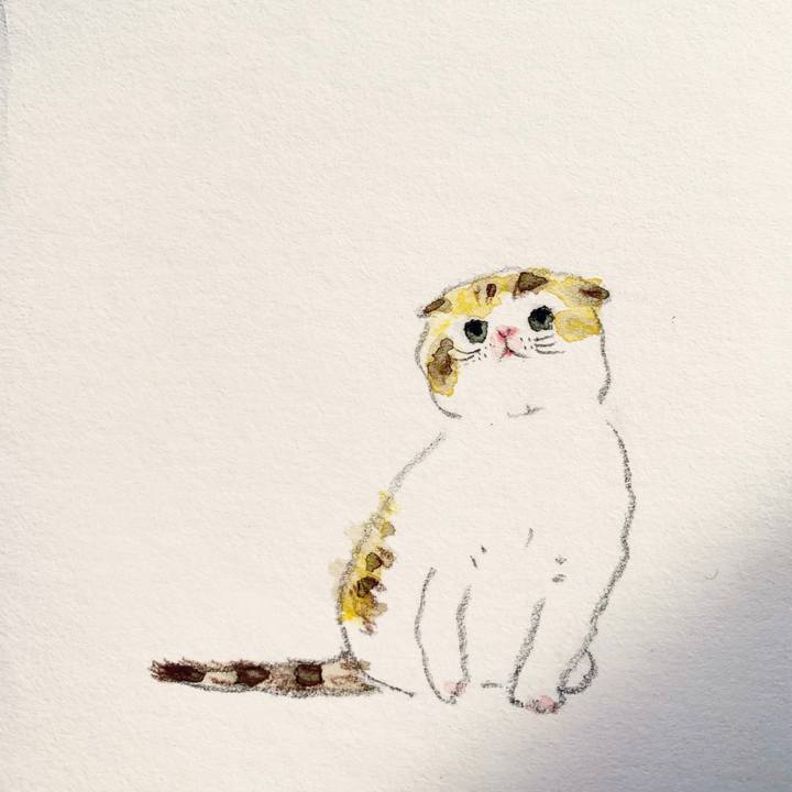 Bdf95676 959f 4f34 8de1 81fd0d7bc02e 1614321580763