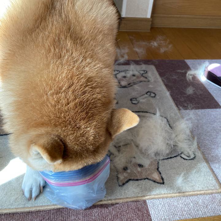 Bdf969a0 0aed 4e76 bfc9 f029f62ccbfb 1612344984323